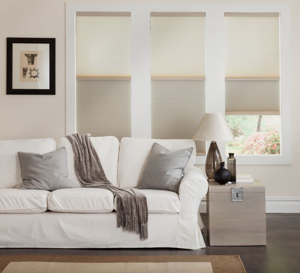 Cell shades in a living room